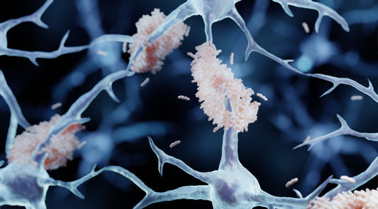 Phytocannabinoids: A New Frontier in Alzheimer’s Disease Management