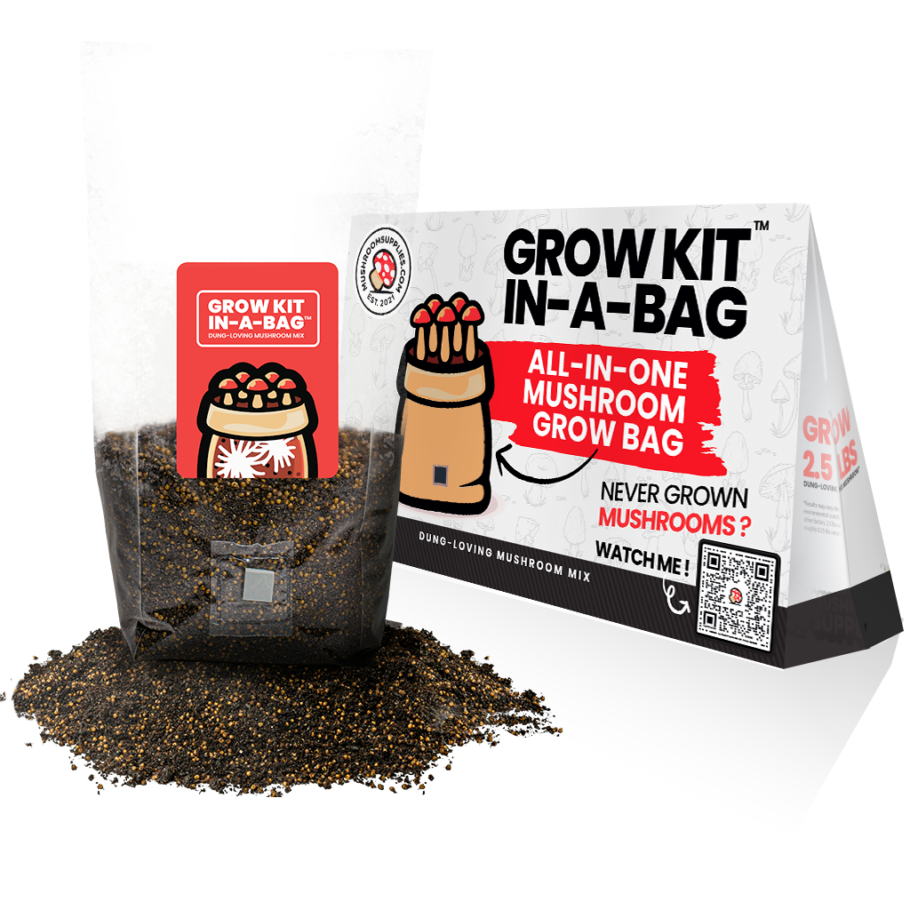 Mushroom Grow Kit In A Bag™