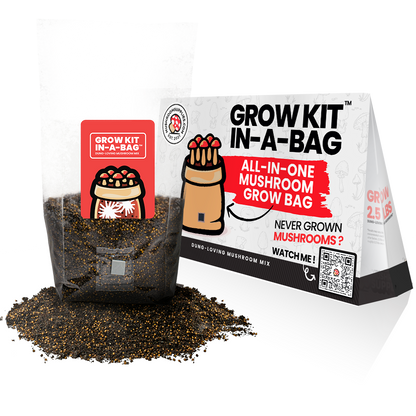 Mushroom Grow Kit In A Bag™